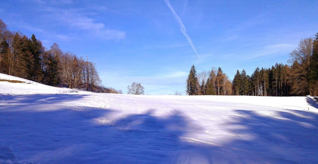 Pension Zur Altdeutschen Zschopau Экстерьер фото